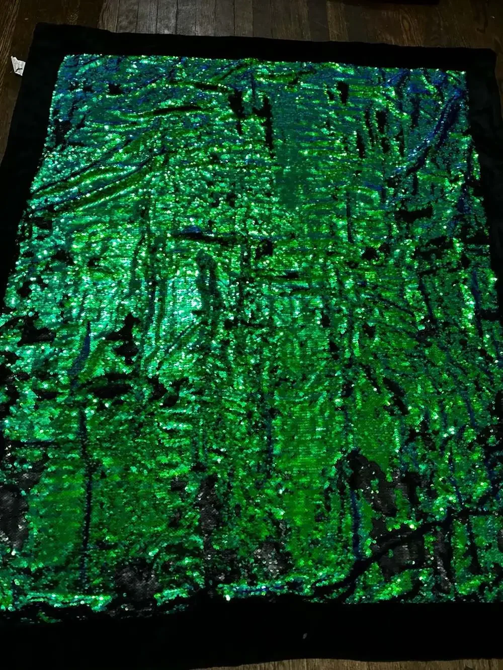 Reversible Sequin Throw Blanket, Green and Blue, 50in x 60in